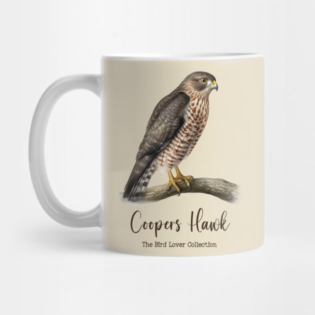 Coopers Hawk - The Bird Lover Collection by goodoldvintage